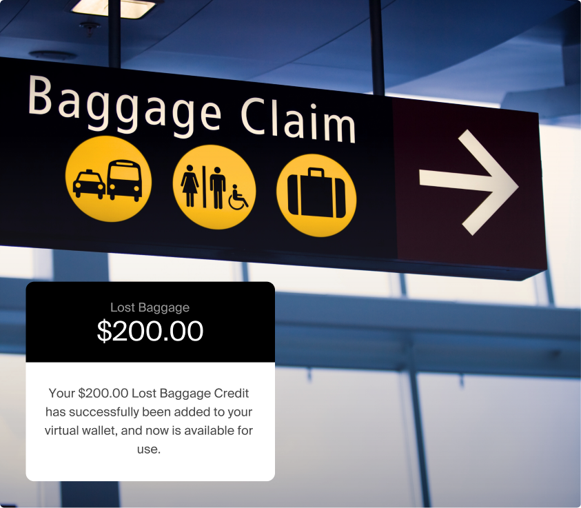 Lost baggage compensation